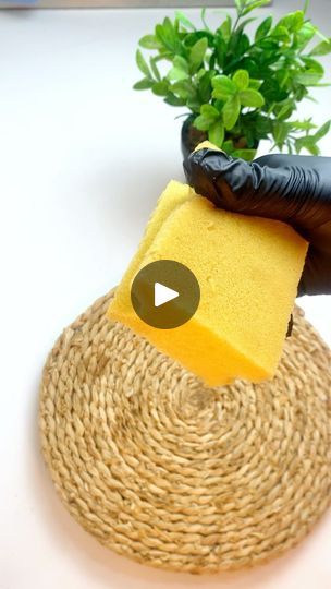 Kitchen Hacks Food, Dish Sponge, Kitchen Surfaces, Kitchen Sponge, In Kitchen, Kitchen Hacks, Food Hacks, 3 Months, Cooking Tips