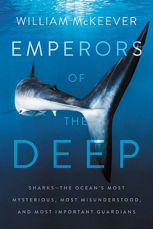 Shark Books, Ocean Ecosystem, Under The Water, Rainbow Warrior, Tour Around The World, Ocean Conservation, Oceans Of The World, Shark Week, Secret Life