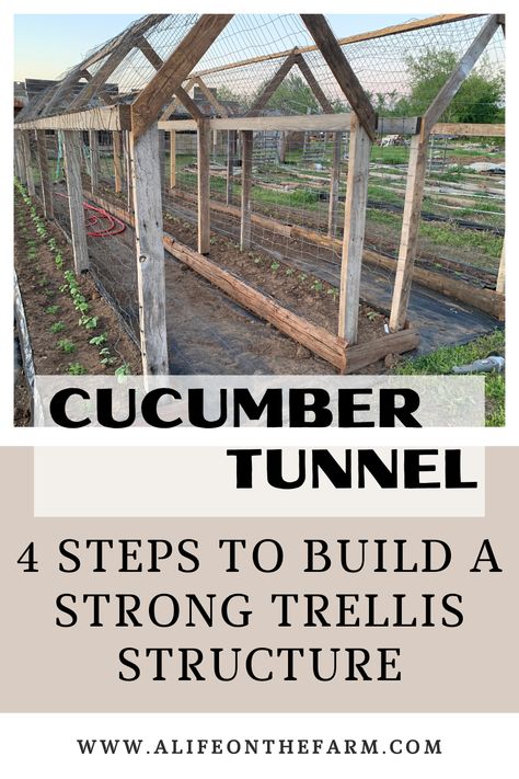 How to build your own permanent structure for vertical gardening. #howto #build #construction #verticalgardening #cucumbertunnel #arbor #twooaksfarmtalk Cucumbers Trellis, Vines Garden, Garden Planing, Plant Structure, Diy Garden Bed, Cucumber Plant, Growing Cucumbers, Garden Hacks, Homestead Gardens