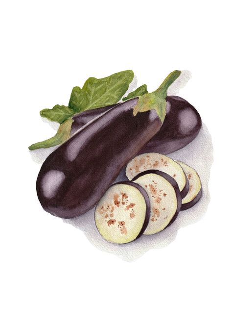 Creative and realistic watercolor illustration of eggplants (or aubergines). Food illustration, watercolor food, food painting, art, design, editorial, branding, packaging, menu, illustrator, vegetables illustration, watercolor paining. madebymarte.com Aubergine Illustration, Eggplant Drawing, Eggplant Illustration, Vegetables Drawing, Vegetables Illustration, Yt Ideas, Vegetable Drawing, Editorial Branding, Vegetable Painting