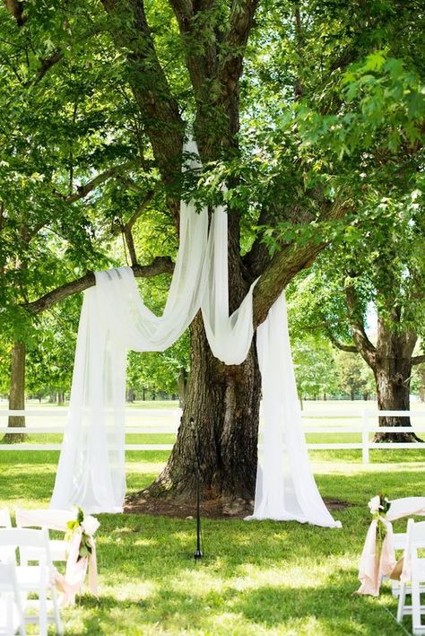 simple outdoor wedding decor ideas. Elegant outdoor wedding ceremony decoration ideas on a budget. How to decorate a wedding on a budget. Simple elegant outdoor wedding ceremony decoration. Tree Arbour Wedding, Fabric Draped Tree Wedding, Tree Wedding Ceremony Flowers, Wedding Tree Backdrop, Wedding Under Tree Decoration, Tree Alter Wedding, Wedding Backdrop Fabric, Under Tree Wedding Ceremony, Tree Backdrop Wedding