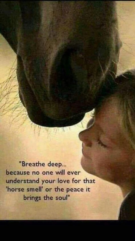 Breathe deep..because no one will ever understand your love for that horse smell or the peace it brings the soul. Equine Quotes, Inspirational Horse Quotes, Horse Riding Quotes, Equestrian Quotes, Riding Quotes, Country Girl Quotes, Horse Things, I Love Horses, Horse Quotes