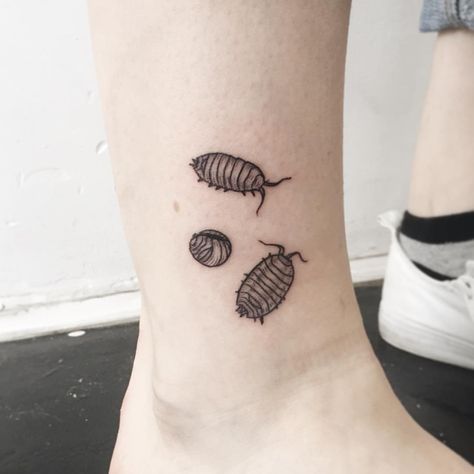 2,193 Likes, 40 Comments - Olivia Harrison (@fearbear) on Instagram: “Pill bugs! Thanks Josie.” Insect Tattoos, Skin Pictures, Pill Bugs, Rad Tattoos, Olivia Harrison, Funky Tattoos, Bug Tattoo, Insect Tattoo, Stick N Poke