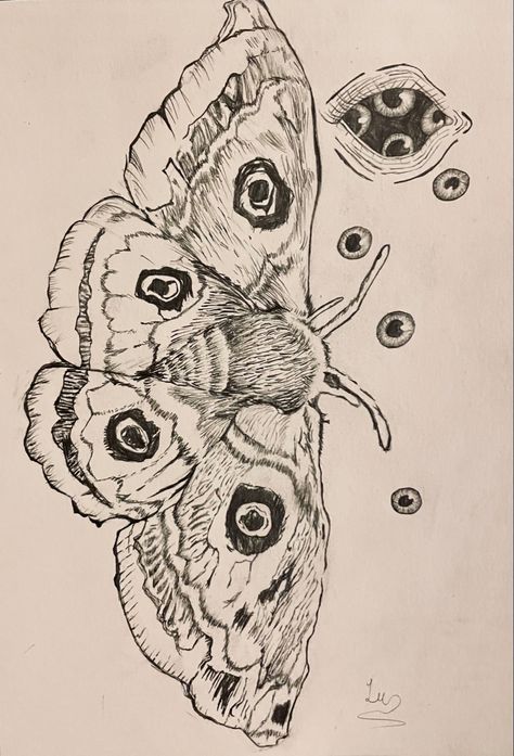 Bugs To Draw, Butterfly Sketch Pencil, Bugs Sketch, Tattoo Portfolio Ideas, Moth Sketch, Sketch Things, Bug Drawing, Positivity Tattoo, Insect Drawing