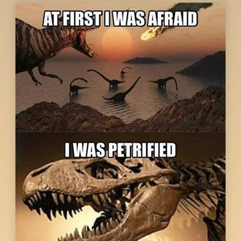 Anti Humor, Jurassic Park Funny, Dinosaur Meme, Terrible Memes, Song Memes, Crush Memes, Dinosaur Funny, Jurassic Park World, Bad Jokes