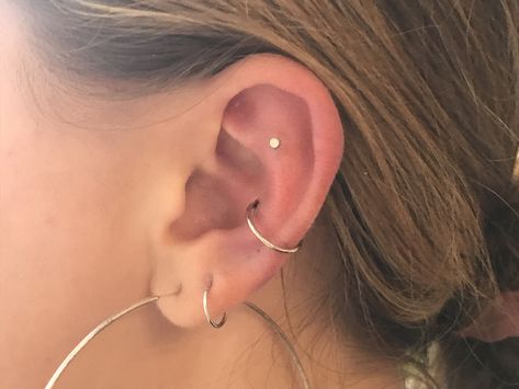 Ear Peircings, Flat Piercing, Conch Hoop, Metal Head, Conch Piercing, Piercing Tattoo, Jewelry Designer, Colby, Jewelry Inspo