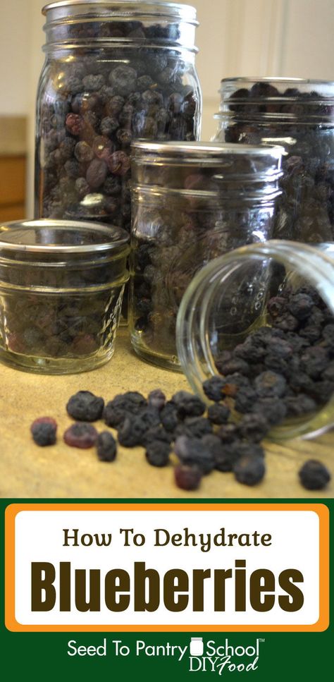 Step by step directions on how to dehydrate blueberries, and vacuum pack them. Dehydrate Blueberries, Dehydrating Blueberries, Dehydrated Blueberries, Dehydrating Food Storage, Food Dehydration, Dehydrated Vegetables, Canning Food Preservation, Canned Food Storage, Dehydrated Fruit