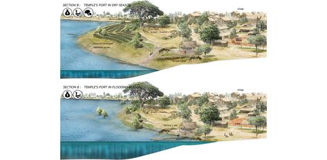 Wetland Design, Landscape Presentation, Flooded Forest, Museum Concept, Landscape Architecture Presentation, Landscape Architecture Portfolio, Landscape Architecture Diagram, National Geographic Maps, Landscape Architecture Graphics