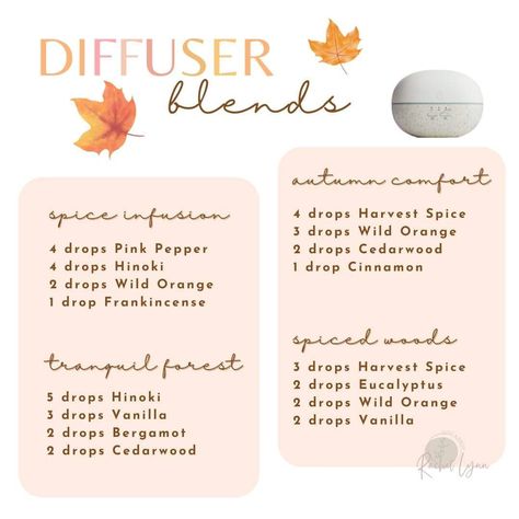 Hinoki Essential Oil Blends, Hinoki Essential Oil, Fall Diffuser Blends, Potpourri Recipes, Essential Oil Education, Essential Oil Diffuser Blends Recipes, Home Smell, Cedarwood Oil, Essential Oil Blends Recipes