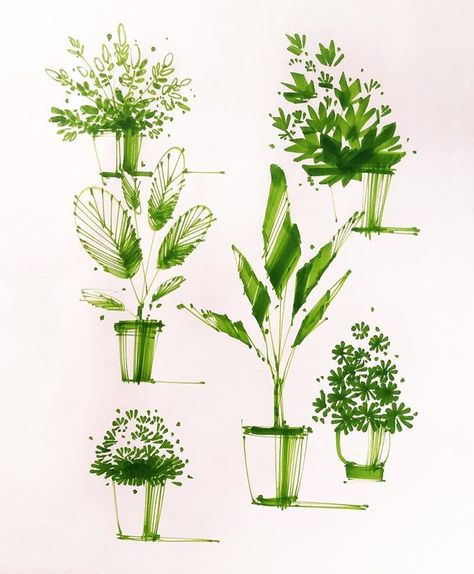 RotioOfficial on Instagram: “Marker render plants Credit: @sketch_aw For more design, creativity and inspiration follow @RotioOfficial . . #rotio #sketch #idsketch…” Interior Design Plants, Plant Sketches, Landscape Architecture Drawing, Landscape Sketch, Industrial Design Sketch, Interior Sketch, Architecture Drawing Art, Sketch Markers, Plant Drawing