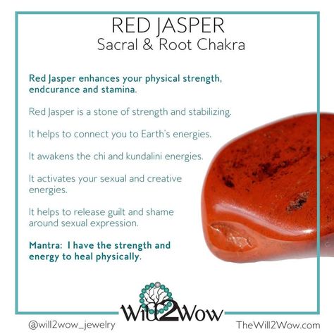 Red Jasper Crystal Meaning, Citrine Crystal Meaning, Crystal Affirmations, Red Jasper Crystal, Jasper Meaning, Healing Crystal Bracelets, Crystal Seashells, Crystal Uses, Crystal Guide