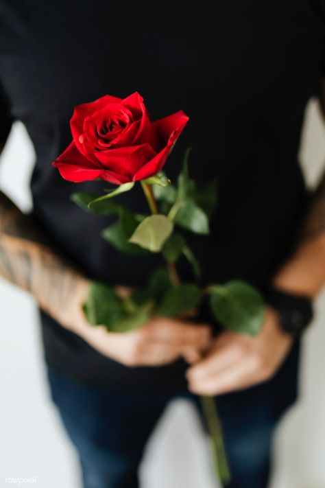 Man With Roses In Hand, Happy Rose Day My Love, Happy Rose Day Wallpaper, Rose Day Wallpaper, Red Roses Background, Valentines Photoshoot, Happy Rose Day, Tattooed Man, Poses Male