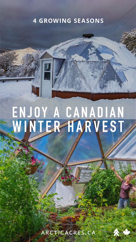 Tropical Greenhouse In Winter, Grow Dome Green Houses, Geometric Dome Greenhouse, Winter Proof Greenhouse, Growing Dome Greenhouse, Canadian Winter Greenhouse, Earth Sheltered Greenhouse, Deep Winter Greenhouse, Arctic Greenhouse