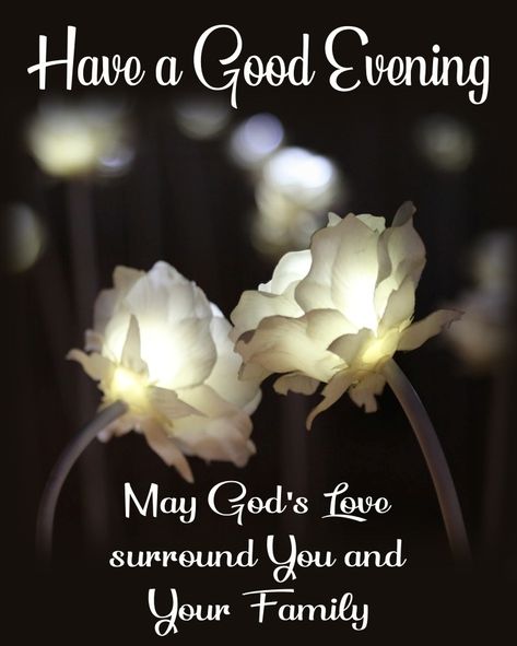 Evening Blessings Beautiful, Good Night God Bless You, Good Evening Blessings, Good Night Blessings Prayer, Good Night And God Bless, Goodnight Pics, Good Night God Bless, Greetings English, Blessed Evening