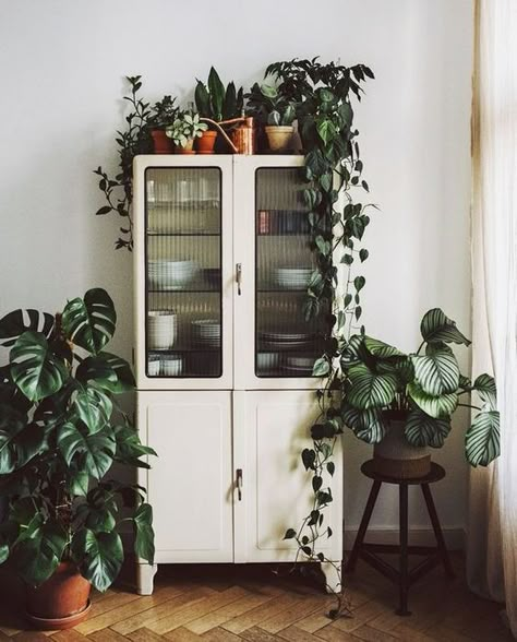 Vintage Kitchen Cabinets, نباتات منزلية, Decor Studio, Vintage Garden Decor, Tiny Kitchen, Decor Minimalist, Outdoor Wall Decor, Design Layout, Hanging Plants