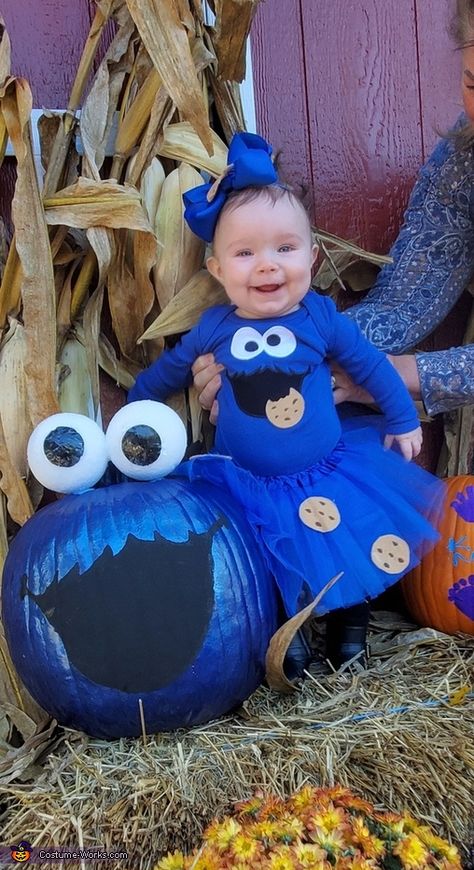 Diy Cookie Monster Costume, Monster Costume Diy, Cookie Monster Halloween Costume, Sesame Street Halloween Costumes, Monster Cookies Halloween, Baby Cookie Monster, Cookies Monster, Cookie Monster Costume, Monster Costume