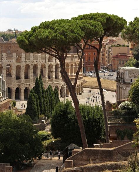 Roma Aesthetic, Roma City, Rome Aesthetic, Moving To Italy, Europe Aesthetic, Italian Summer, Travel Inspo, Pretty Places, Oh The Places Youll Go