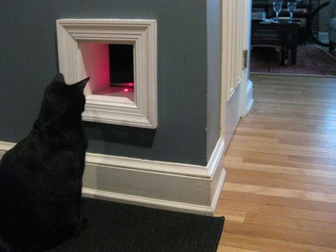 I love this idea. The closet in this post is a mess! I think it would be better to allow the cat to enter and exit the closet, not just the litter box. The door stays closed, but it is available for Mr. Kitty. Cat Nook, Diy Cat Wall, Room Opening, Litter Box Ideas, Cat Projects, Closet Wall, Pet Projects, Cat Tunnel, Cat Door