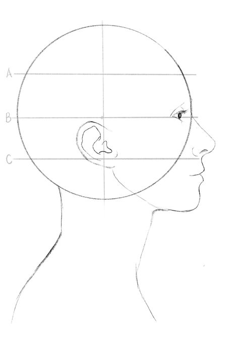 Side Profile Reference Step By Step, Side Sketch Face, Side Profile Proportions, Side Profile Drawing Reference Woman, Front Profile Drawing, Side Profile Outline, Side Profile Reference Drawing, Profile Drawing Reference, Side Face Drawing