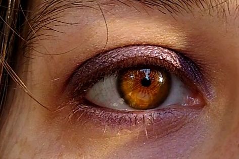 Amber Eyes Bright Brown Eyes, Amber Brown Eyes, Amber Eyes Color, Reference Study, Honey Eyes, Chris De Burgh, Studying Tips, Pretty Brown Eyes, Amber Eyes