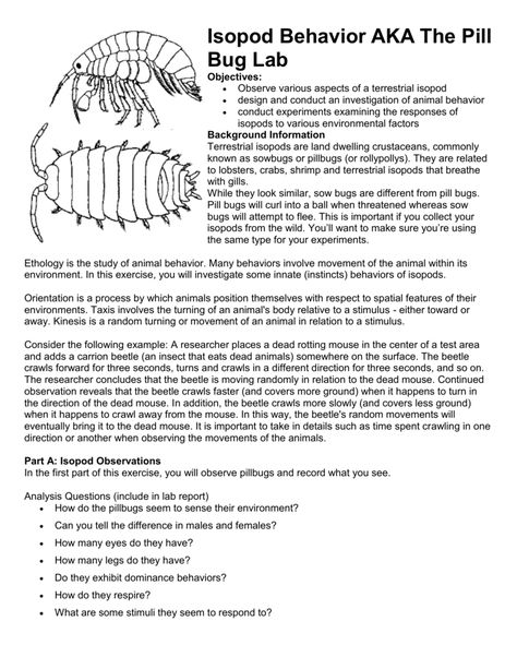 Isopod Behavior, or The Pill Bug Lab Pill Bug Terrarium, Bored Activities, Pill Bugs, Garden Classroom, Environmental Activities, Spider Enclosure, Rolly Polly, Bug Activities, Pill Bug