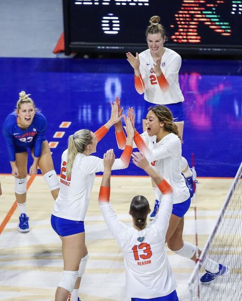 Florida Gators Volleyball, Uf Volleyball, College Volleyball Aesthetic, D1 Volleyball, Florida Volleyball, Nebraska Volleyball, Volleyball Aesthetic, Florida University, Club Volleyball