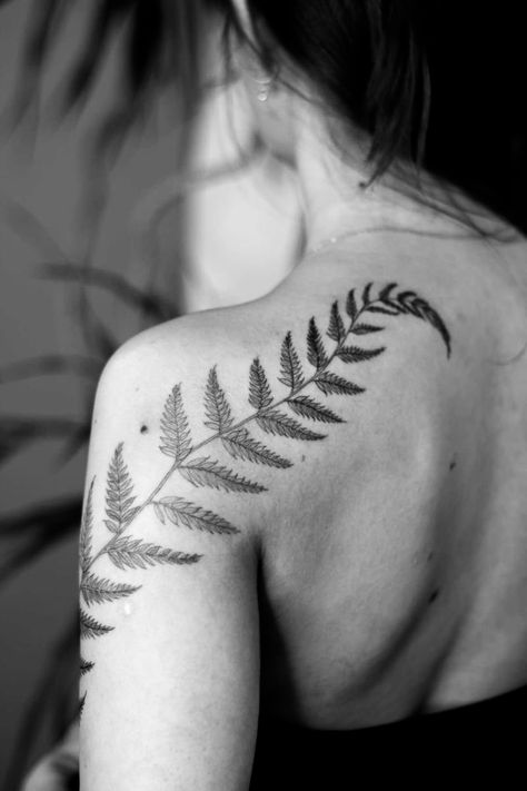 Fern Tattoo On Thigh, Collar Bone Fern Tattoo, Fern Tattoo On Shoulder, Fern Tattoo Shoulder Woman, Fern Shoulder Tattoos For Women, Fern Leaf Tattoo Shoulder, Fern Vine Tattoo, Sternum Mushroom Tattoo, Upper Arm Fern Tattoo