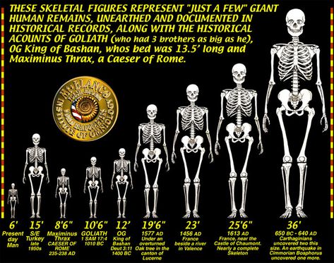 Giant Skeletons Found, Ashtar Command, Nephilim Giants, Giant Skeleton, Genesis 6, Before The Flood, Crop Circle, Giant Tree, Human Skeleton