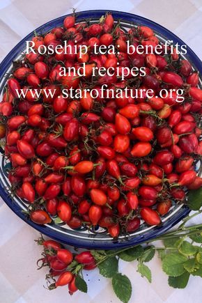 Rose Hip Magical Properties, Rosehips Magical Properties, Rosehip Tea Recipes, Rosehip Tea Benefits, Rosehip Jam Recipe, Tea For Nausea, Rose Hips Benefits, Plants Medicinal, Rosehip Recipes