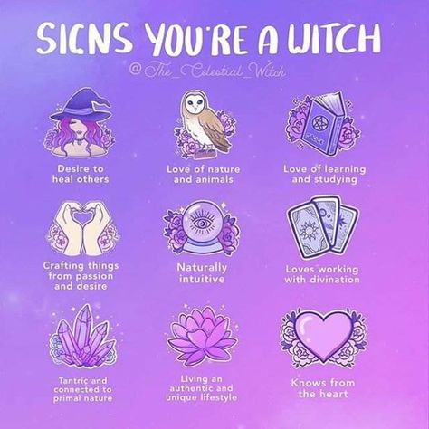 Signs you're a witch Study Craft, Witch Candles, Magick Spells, Eclectic Witch, Wiccan Spell Book, Witchcraft Spell Books, Witch Spell Book, Witchcraft For Beginners, Witch Spell