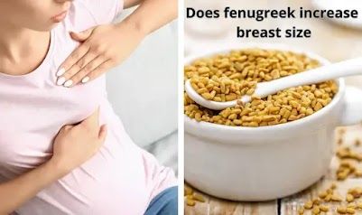 Does fenugreek increase breast size? Fenugreek is a popular herb known for its many health benefits. It has been used for centuries to treat a variety of ailments ranging from respiratory issues to digestive problems. But one of the most common questions about fenugreek is: Does fenugreek increase breast size? In this article, we will explore the potential benefits and dangers of taking fenugreek, and answer the question of whether or not it can increase breast size. We will also investigate the Fenugreek For Breast Growth, Fenugreek Supplement, Fenugreek Benefits, Breast Growth, Increase Breast Size, Increase Breastmilk, Mammary Gland, Digestive Problems, Unhealthy Snacks