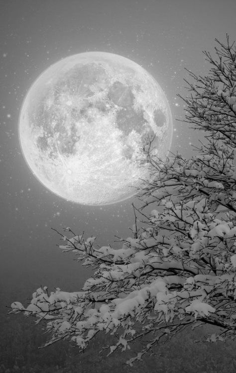 Full Winter Moon | Winter Moon | The Grief Alchemist Winter Moon, Shoot The Moon, Moon Pictures, Moon Rise, The Full Moon, Beautiful Moon, Moon Magic, Winter Wonder, Chiaroscuro