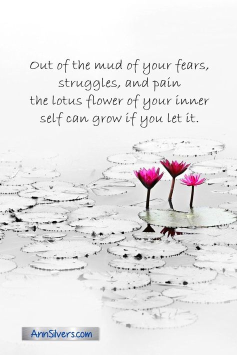 Meaning Of Waterlily, Lotus Meaning Quotes, White Lotus Meaning, No Mud No Lotus Quotes, Quotes About Lotus Flower, Lotus Flower Quotes Inspirational, Lotus Quotes Inspiration, Flower Life Quotes, No Mud No Lotus Tattoo