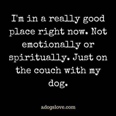 Happy National Dog Day! Dogs Quotes, Happy National Dog Day, Now Quotes, Animal Quotes, Dog Quotes, A Quote, Training Tips, My Dog, I Love Dogs