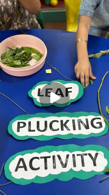 Presidium / Mother's Pride School Bahadurgarh on Instagram: "Leaf plucking Activity 🥬🍁🍃☘️ . . . Admission open for the session 2024-25! Contact : 8398839825  #leaf #leafplucking#education #grossmotorskills #interactivelearning#teamwork#learningthroughplay#school #schoolactivities #earlylearning#enjoy #reelsinstagram😍#viral #moderneducation #toddler #trending #trendingeducation #viralreel#trendingreels#kindergarten#presidiumschool #admissionsopen" Presidium School, October Activities, Learning Stations, Autumn Activities For Kids, Admission Open, Gross Motor Skills, Interactive Learning, Autumn Activities, Early Learning