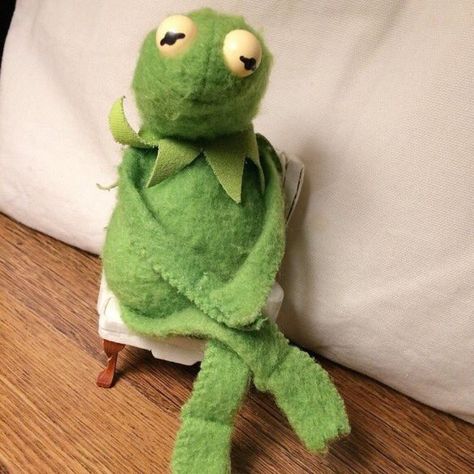 Sitting like a lady Sapo Kermit, Kermit Meme, Kermit Funny, Frog Meme, Lol Memes, Kermit The Frog, Memes Kpop, Cute Memes, Funny Reaction Pictures