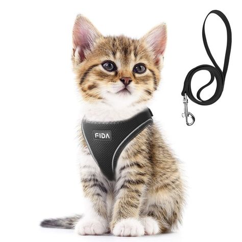 Fida Comfy Dog Harness with Leash, Cat Vest Harness Escape Proof, Breathable Lightweight Soft Mesh, Adjustable Reflective Ste Kitten Harness, Cat Harness And Leash, Kitten And Puppy, Cute Dog Harness, Harness And Leash Set, Vest Harness, Small Kittens, Pet Steps, Dog Vest Harness