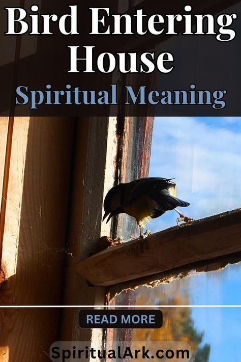 at the top is a semi-transparent dark-brown rectangle which contains the title that says, "bird entering house spiritual meaning", at the center is a photo of a black-and-yellow bird standing on the window sill inside the house, a thin white line that separates the main picture and the footer, below it is a button that says, "read more", and at the bottom is the website source "SpiritualArk.com" Bird Meaning, Inside A House, Bird Flying, Not In The Mood, Animal Symbolism, Spiritual Truth, Hope Symbol, Spiritual Meaning, Personal Journey