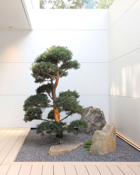 Japan Bonsai Garden, Dry Japanese Garden, Dry Zen Garden, Indoor Stone Garden, Japanese Zen Garden Indoor, Zen Garden In House, Japanese Indoor Garden Design, Zen Landscaping Front Yard, Patio Zen Garden