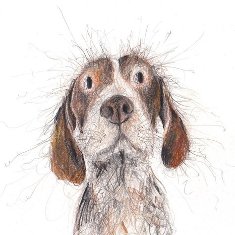 Catherine Rayner | 🐾 He’s called Sebastian. Can you guess the breed? #catherineraynerdailydrawing The original drawing is available to adopt from my… | Instagram Catherine Rayner, Pen And Ink Watercolor, Dog Drawing Tutorial, Drawing Dogs, Ink And Wash, Watercolor Dog Portrait, Pet Illustration, Animal Illustration Art, Scribble Art