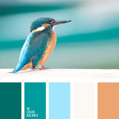 aquamarine | Color Palette Ideas In Color Balance, Peach Color Palettes, Cyan Colour, Color Palette Ideas, Wall Living Room, Brown Color Palette, Color Schemes Colour Palettes, Palette Ideas, Color Harmony