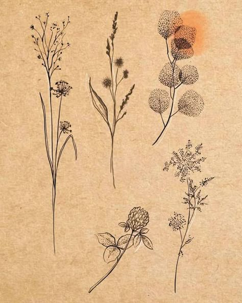 Dried Herbs Tattoo, Wild Grasses Tattoo, Dotwork Floral Tattoo, Grasses Tattoos, Herbarium Tattoo, Handpoke Flower Tattoo, Botanical Line Tattoo, Ornamental Botanical Tattoo, Fineline Botanical Tattoo