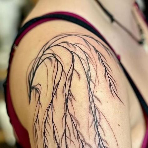 Esoteric Tattoo on Instagram: "Beautiful weeping willow branch by @highwatertattoos   Heads over to Kaya’s instagram to find her booking form   #tree #treetattoo #willowtree #willowtattoo #weepingwillow #stiple #dotwork #blackandgrey #pdx #pnw #portland #northportland #kayal" Weeping Willow Vine Tattoo, Weeping Willow Leaves Tattoo, Willow Tree Shoulder Tattoo, Weeping Willow Tattoo Simple, Weeping Willow Tree Branch Tattoo, Willow Leaf Tattoo, Tiny Weeping Willow Tree Tattoo, Weeping Willow Tree Tattoo, Weeping Willow Branch