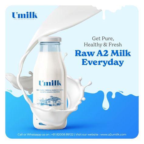 Bringing the goodness of fresh and pure milk to your hands every morning. Choose healthy milk for a wealthy body and that is what we are here for. Umilk brings you 100% Pure, Fresh and Raw A2 Milk of Cow & Buffalo to your homes. Free Delivery in Ahmedabad & Gandhinagar. Call us for more information : +91 82008 89122 #a2milk #milk #health #farm #ghee #fresh #raw #pure #a2umilk #freedelivery Buffalo Milk, Desi Cow, A2 Milk, Healthy Milk, Casein Protein, Cow Ghee, Milk Cow, Ghee, Farm Fresh