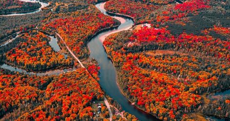 30 photos of fall colours in Ontario you won't believe are real Sault Ste Marie Ontario, Sault Ste Marie, Northern Ontario, Aerial Photos, Canada Photos, Scenery Pictures, Drone Pilot, Drone Photos, Natural Phenomena