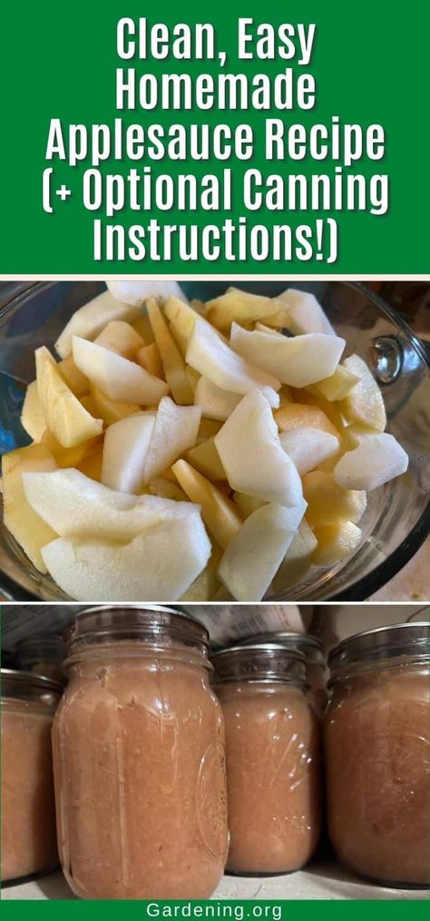 Clean, Easy Homemade Applesauce Recipe (+ Optional Canning Instructions!) Canned Applesauce Recipes, Easy Homemade Applesauce, Eating With The Seasons, Homemade Applesauce Recipe, Canning Instructions, Applesauce Recipes, Canning Applesauce, Canned Applesauce, Homemade Applesauce Recipes