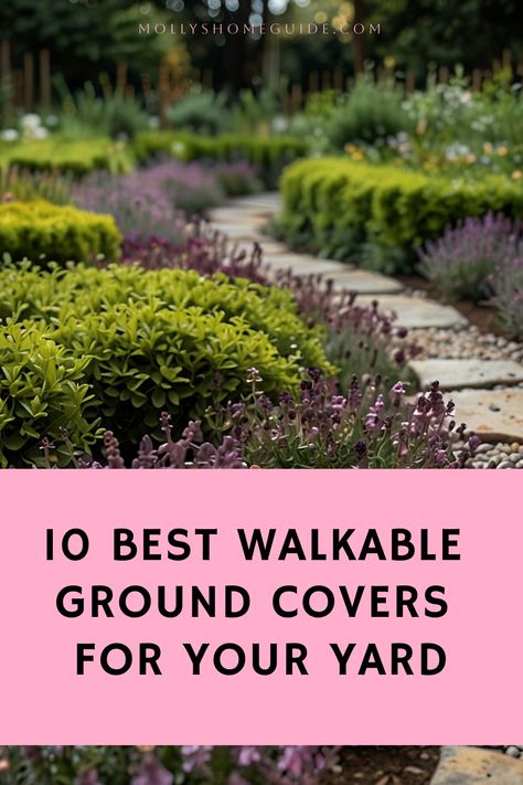 Discover the best flowers for ground cover to add beauty and functionality to your garden. From creeping flowers like Aubrieta and Creeping Jenny to easy-to-care-for perennials such as Sedum and Phlox, there is a wide range of options available. Consider flowering ground covers like Creeping Thyme or Alyssum for a burst of color during summer. Looking for walkable ground covers? Try Corsican Mint or Blue Star Creeper. Red Thyme Ground Cover, Corsican Mint Ground Cover, Creeping Phlox Ground Cover, Walkable Ground Cover, Creeping Jenny Ground Cover, Creeping Flowers, Phlox Ground Cover, Creeping Thyme Ground Cover, Purple Ground Cover