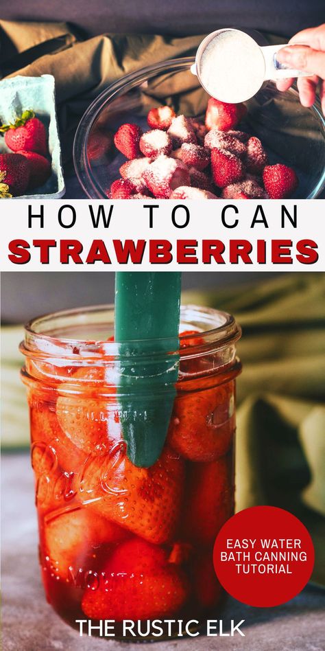 Want to preserve fresh strawberries without freezing them? Canned whole strawberries are delicious and super easy to can. Learn how easy canning strawberries is with this simple tutorial! Canning Strawberries Whole, Canning Strawberries Recipes, Strawberry Preservation, Canned Strawberry Recipes, Can Strawberries, Canning Strawberries, Strawberry Syrup Recipes, Freezing Strawberries, Canned Strawberries