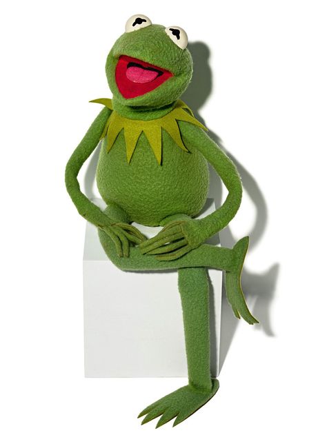 Kermit the Frog Puppet | Smithsonian Institution Kermit The Frog Puppet, Frog Puppet, Kermit The Frog, Smithsonian Institution, The Frog, Sesame Street