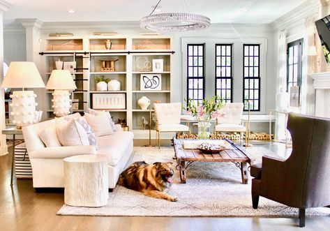 Pet Friendly Interior Design | Steph Musur Designs Diy Carpet Cleaning Solution, Pet Friendly Flooring, Puppy Proofing, Carpet Cleaning Solution, Expensive Furniture, Dog Pillow Bed, Pet Gate, Low Cabinet, New Dog